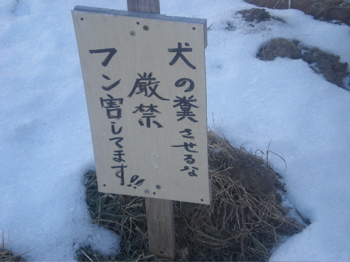c0153444_7163234.jpg