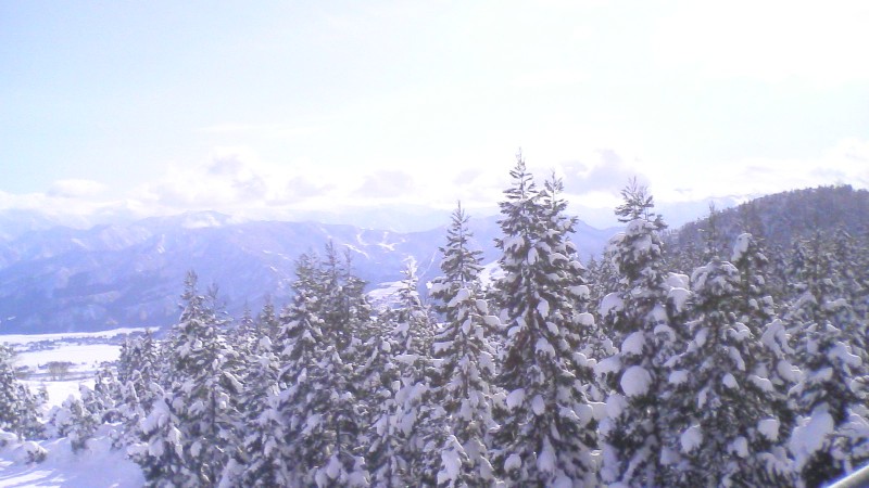 f0053545_2355271.jpg