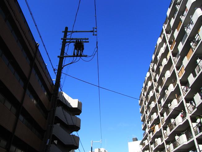 c0194046_0183596.jpg