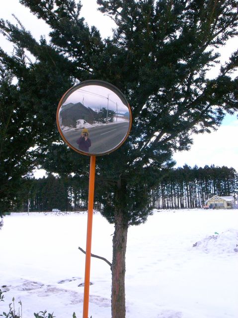 c0138553_11135523.jpg