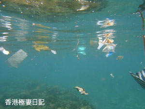 f0190653_17374692.jpg