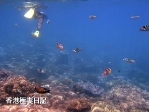 f0190653_17375719.jpg
