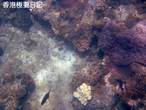 f0190653_17382155.jpg