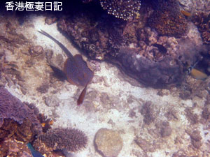 f0190653_17383376.jpg