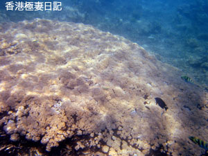 f0190653_1738828.jpg