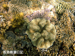 f0190653_17393537.jpg