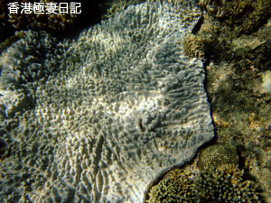 f0190653_17394636.jpg