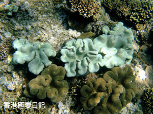 f0190653_17395856.jpg