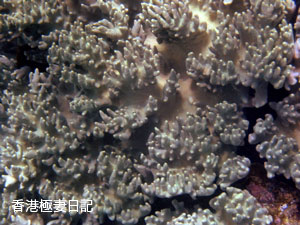 f0190653_17421746.jpg