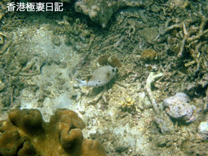 f0190653_17423648.jpg