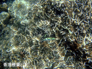 f0190653_174245.jpg