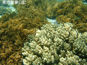 f0190653_17424798.jpg