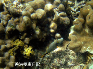 f0190653_17463079.gif