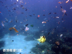 f0190653_18184349.jpg