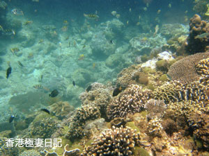 f0190653_18185152.jpg