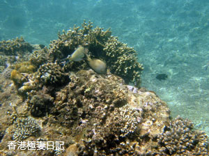 f0190653_18192333.jpg