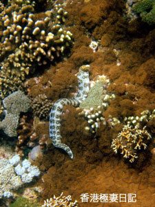 f0190653_18201033.jpg