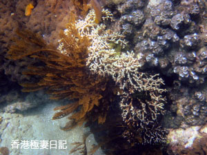 f0190653_1820185.jpg
