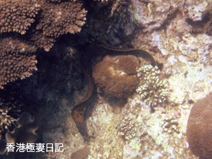 f0190653_18213717.gif