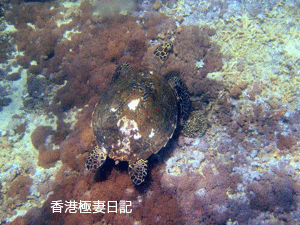 f0190653_1821432.gif