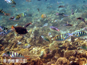 f0190653_18223917.jpg