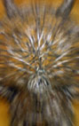 d0029958_18494877.jpg