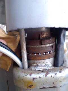c0016261_1455216.jpg