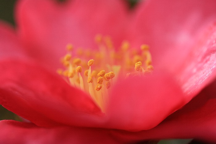 d0128465_7582581.jpg