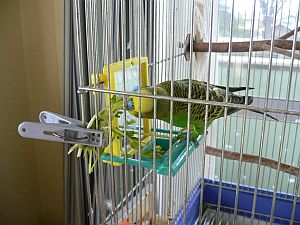f0196665_16415058.jpg