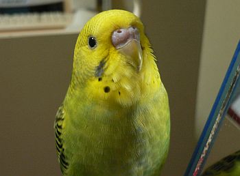 f0196665_1657717.jpg