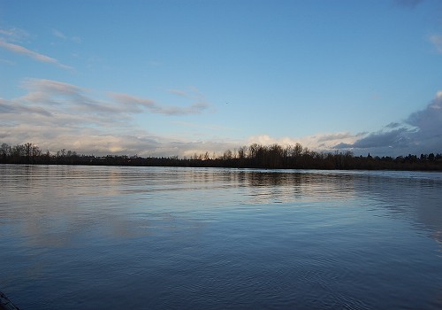 e0128367_4165177.jpg