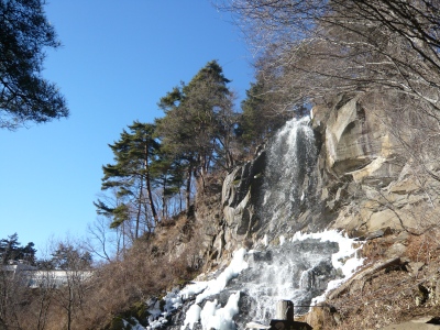 a0040371_2148549.jpg