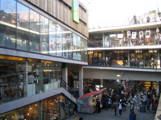 a0098874_084892.jpg