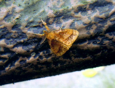 d0019074_7224468.jpg