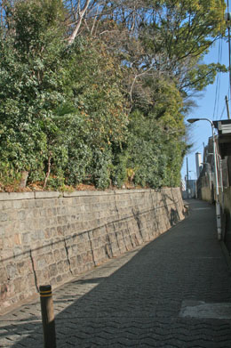 a0045381_22135995.jpg