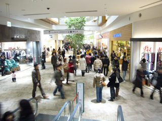 f0091282_025678.jpg