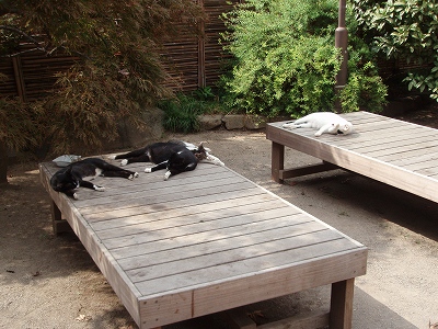 c0105785_9502943.jpg