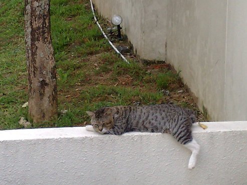 f0195286_09386.jpg