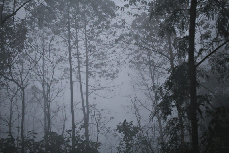 c0193289_2344150.gif