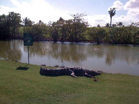 c0178690_14491686.jpg