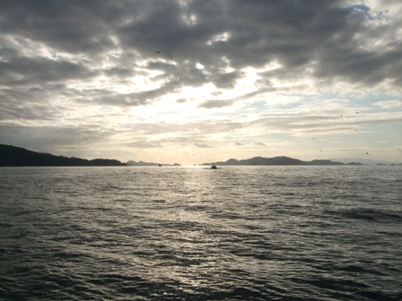 f0106190_1292065.jpg