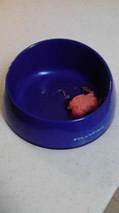 f0077097_1428564.jpg
