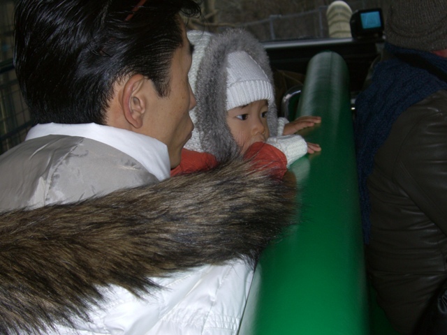 f0098697_1351320.jpg