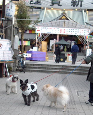 c0138198_2261242.jpg