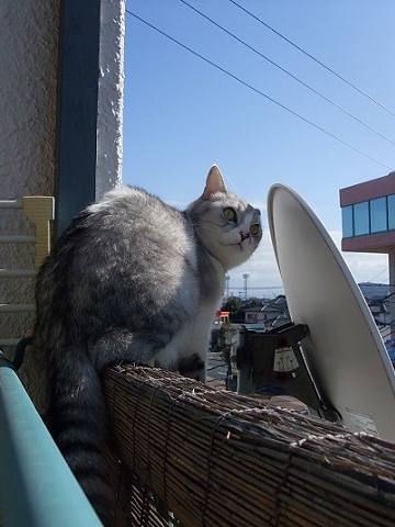 d0065398_2033370.jpg