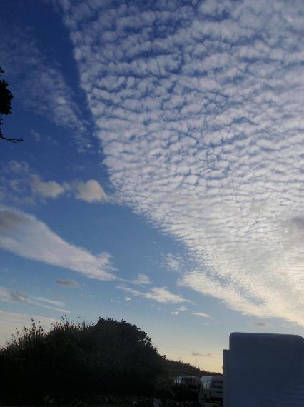 e0077899_8101067.jpg