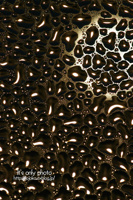 e0008800_232725100.jpg