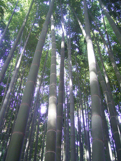 e0043700_22414064.jpg