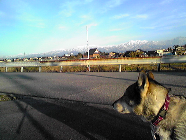 f0079202_16444.jpg
