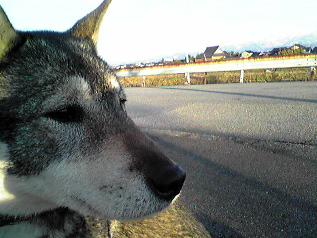 f0079202_16449.jpg